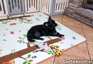 imagem_7