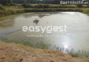 imagem_40