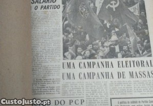 imagem_1