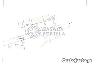 imagem_13