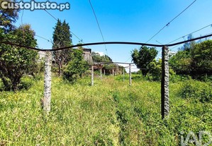 imagem_22