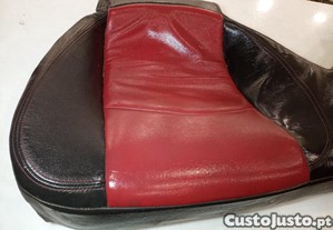 imagem_12