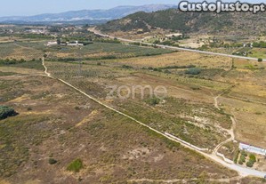 Quinta Agro-Biológica E Projeto De Agroturismo...
