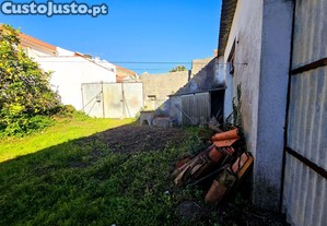 imagem_29