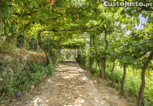 Moradia T4 Com Dois Terrenos E Pomar Variado,...