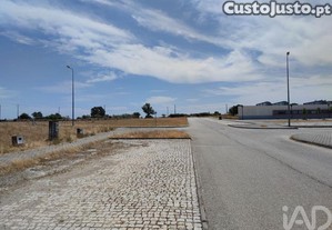 imagem_29