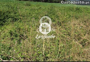 imagem_21