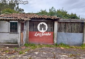 imagem_10