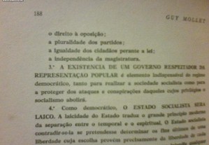imagem_8