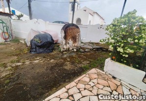 imagem_29