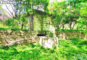 imagem_26