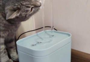 Bebedouro automático para Gatos