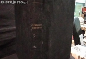 imagem_2