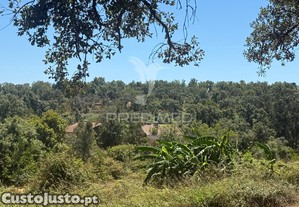 imagem_7