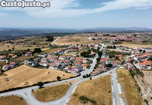 imagem_22