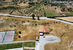 imagem_1