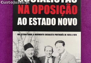 imagem_1
