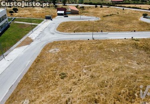 imagem_25