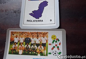 imagem_8