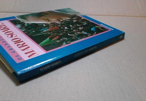 imagem_3