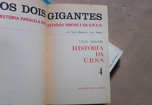imagem_8
