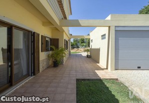 imagem_11