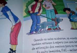 imagem_6