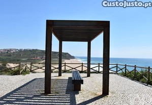 imagem_19