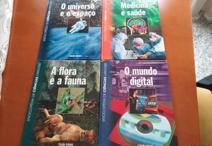 imagem_8