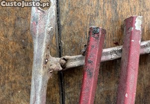 imagem_4
