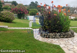 imagem_21