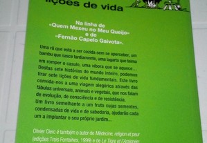 imagem_8