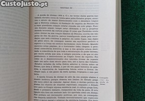 imagem_7