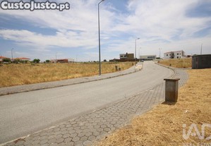 imagem_21