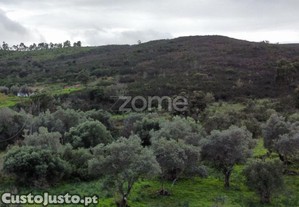 Terreno Rústico - Mexilhoeira Grande