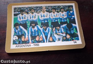 imagem_1