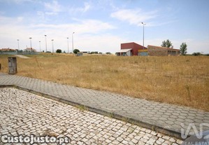 imagem_17