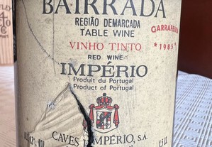 imagem_2