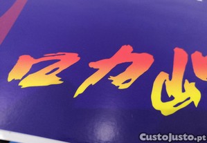 imagem_3