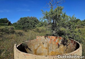 imagem_29