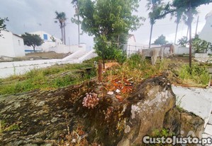 imagem_31