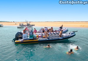 imagem_17