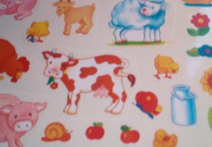 imagem_6