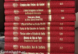 imagem_3