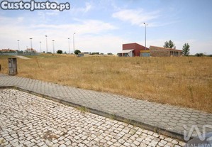 imagem_21