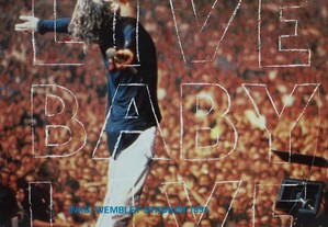 Laser Disc Inxs - Live Baby Live-Wembley Stadium