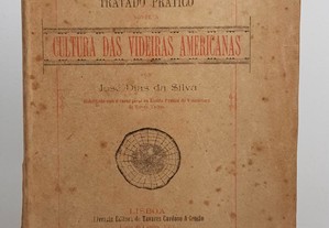 VINHO Videiras Americanas // José Dias da Silva 1892