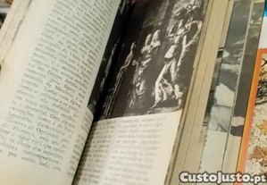 imagem_5