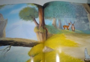 imagem_6