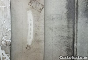 imagem_12